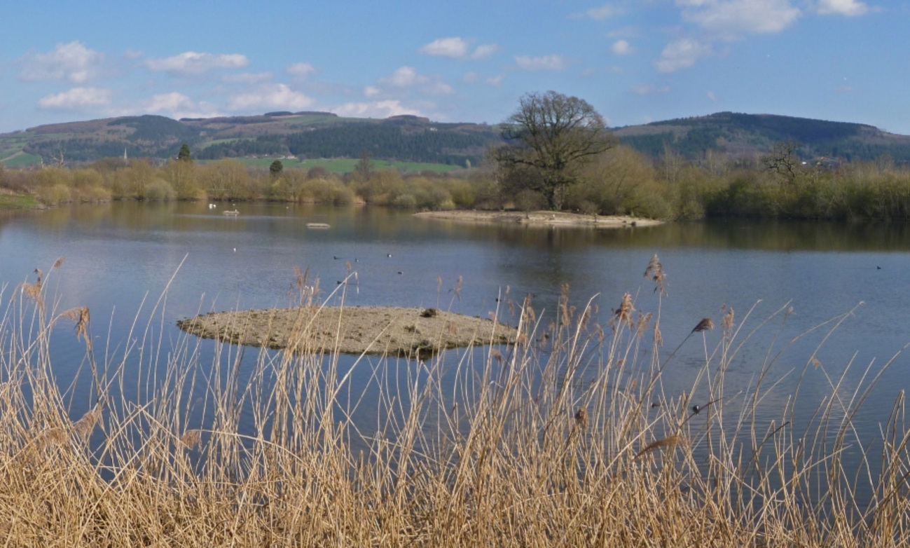 Llyn-Coed-y-Dinas-Nature-Reserve